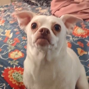 Meet your Posher, Aiden